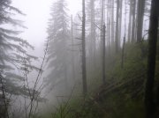 5.7.06 Wauna Point 014 